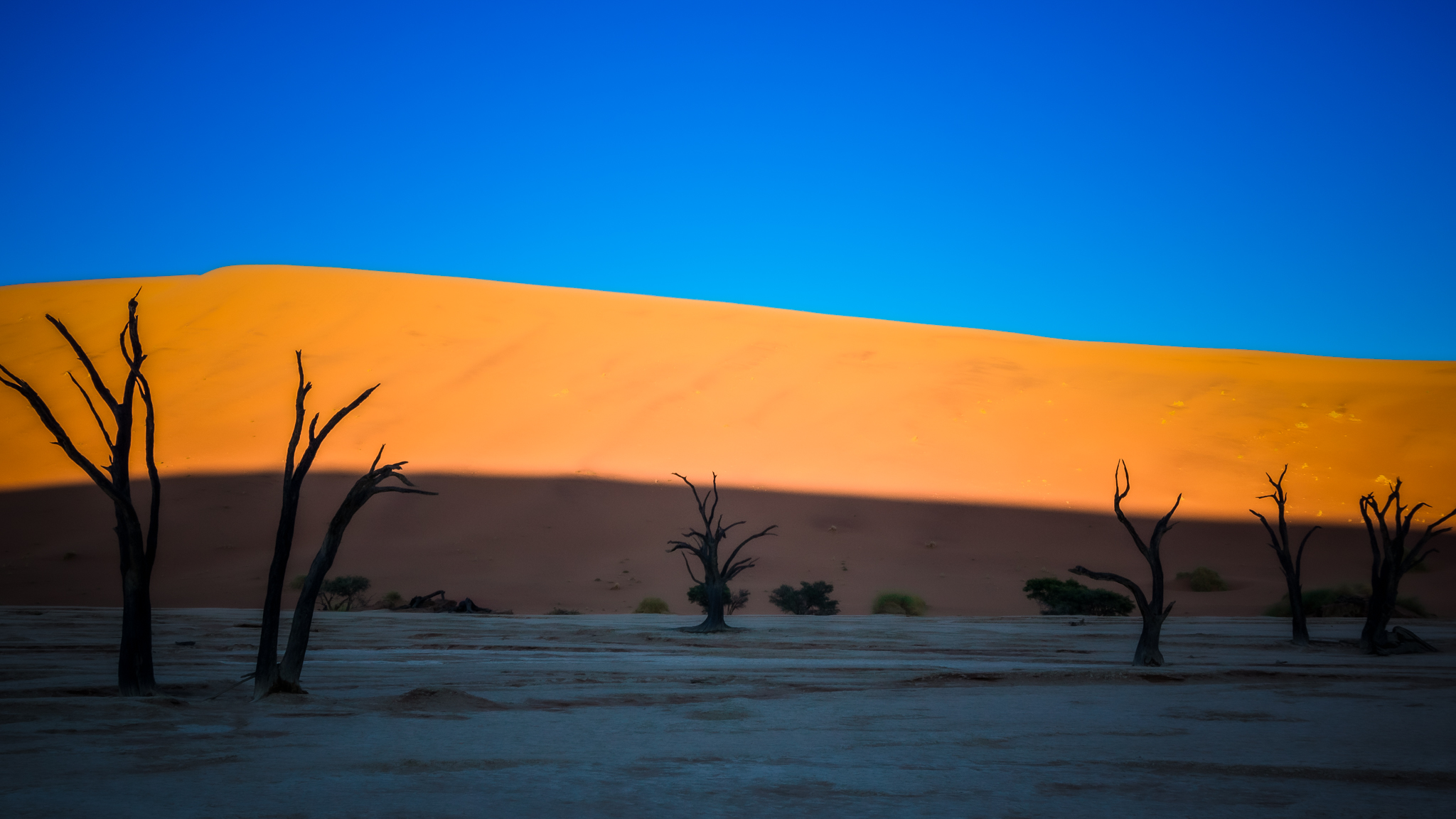 Alberi morti di Deadvlei