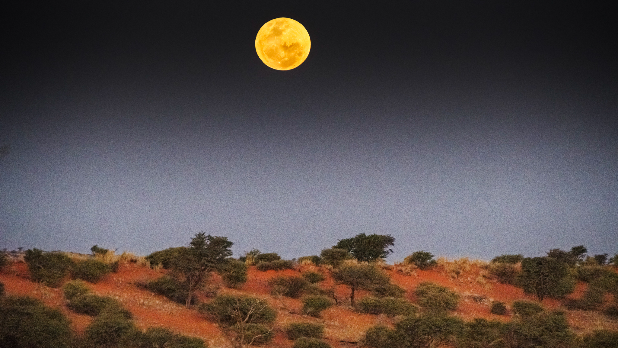 Paesaggi Namibia