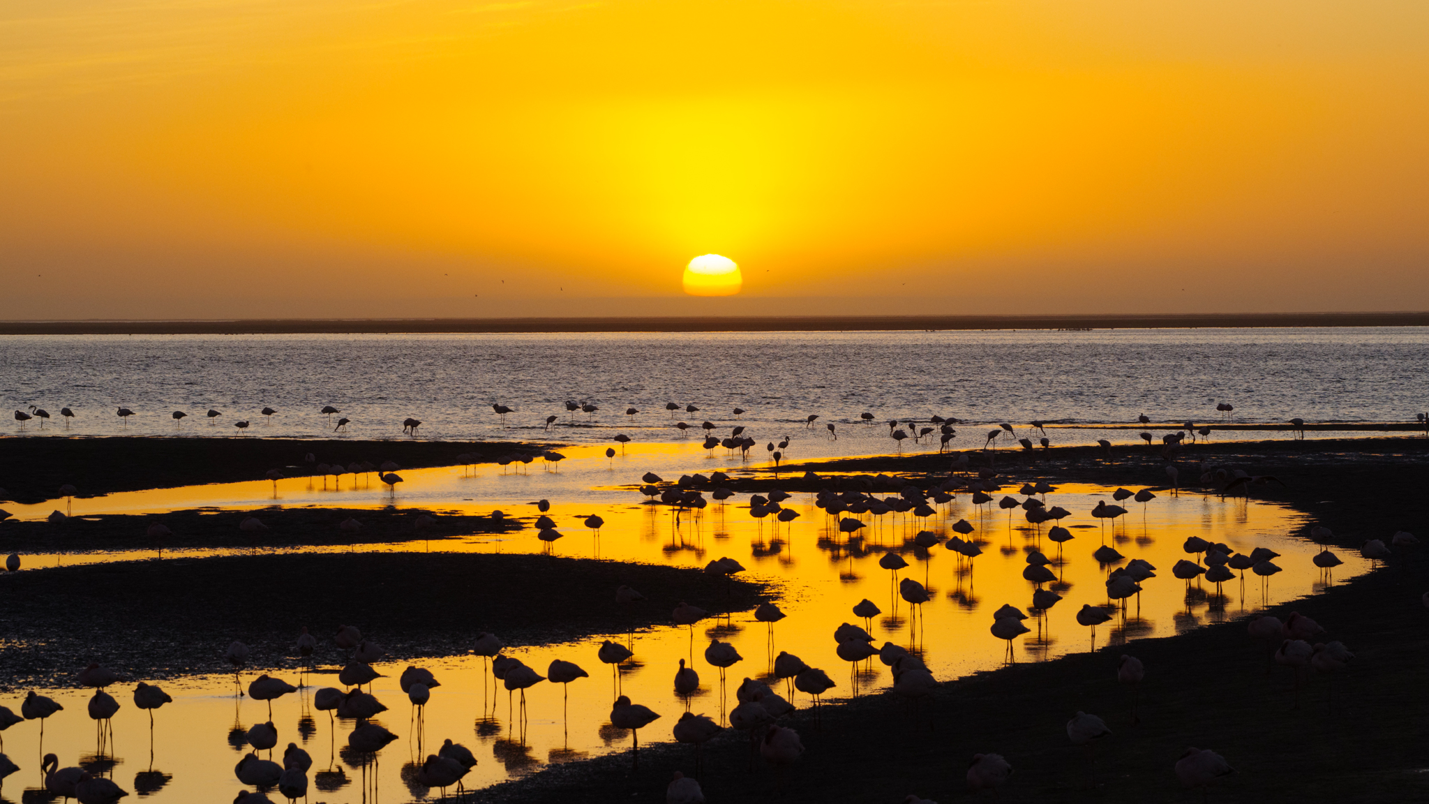 Paesaggi Namibia