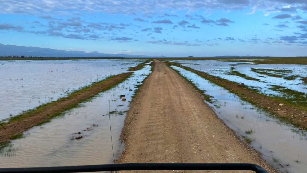 Amboseli National Park
