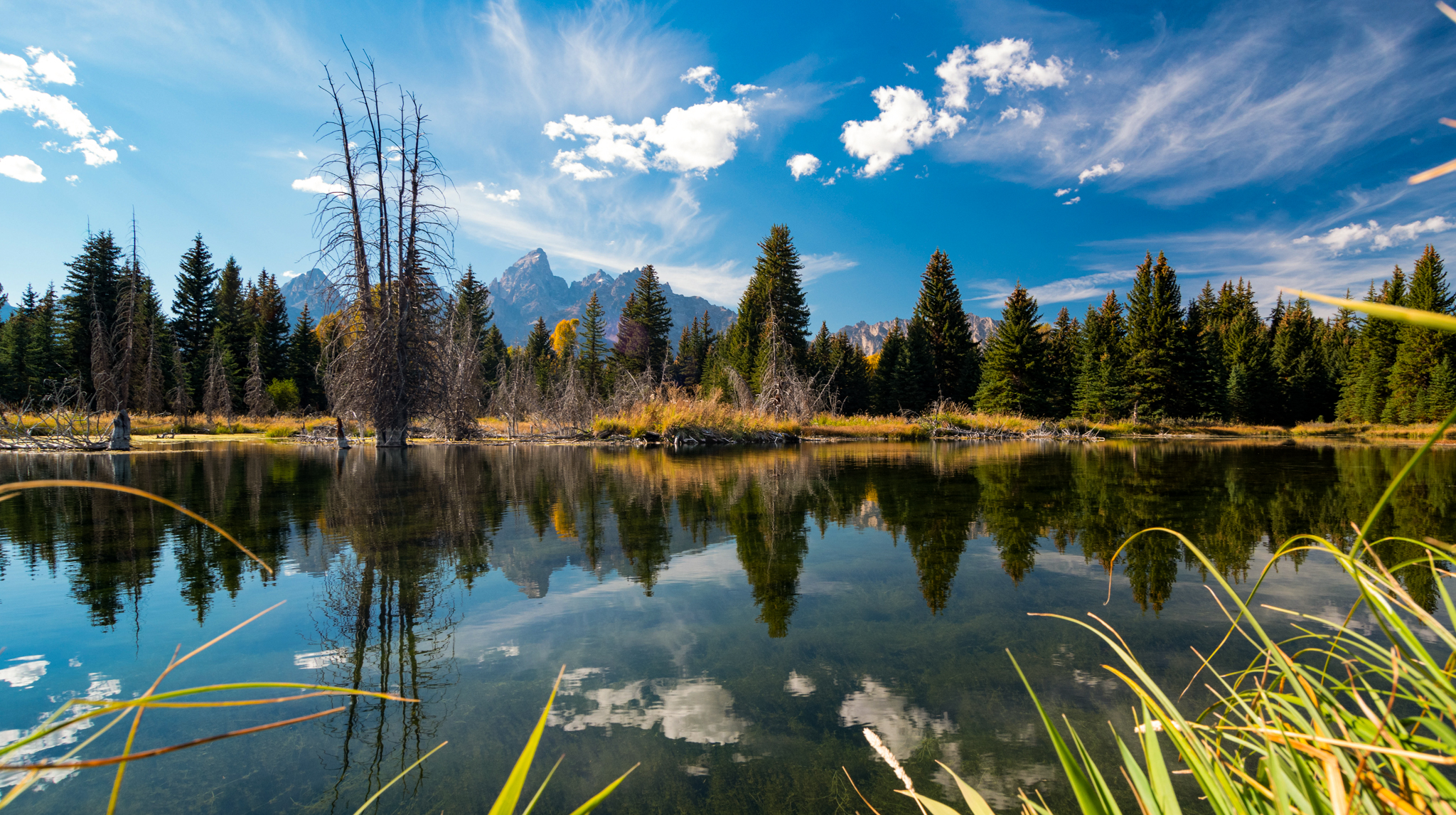 Parco Yellowstone