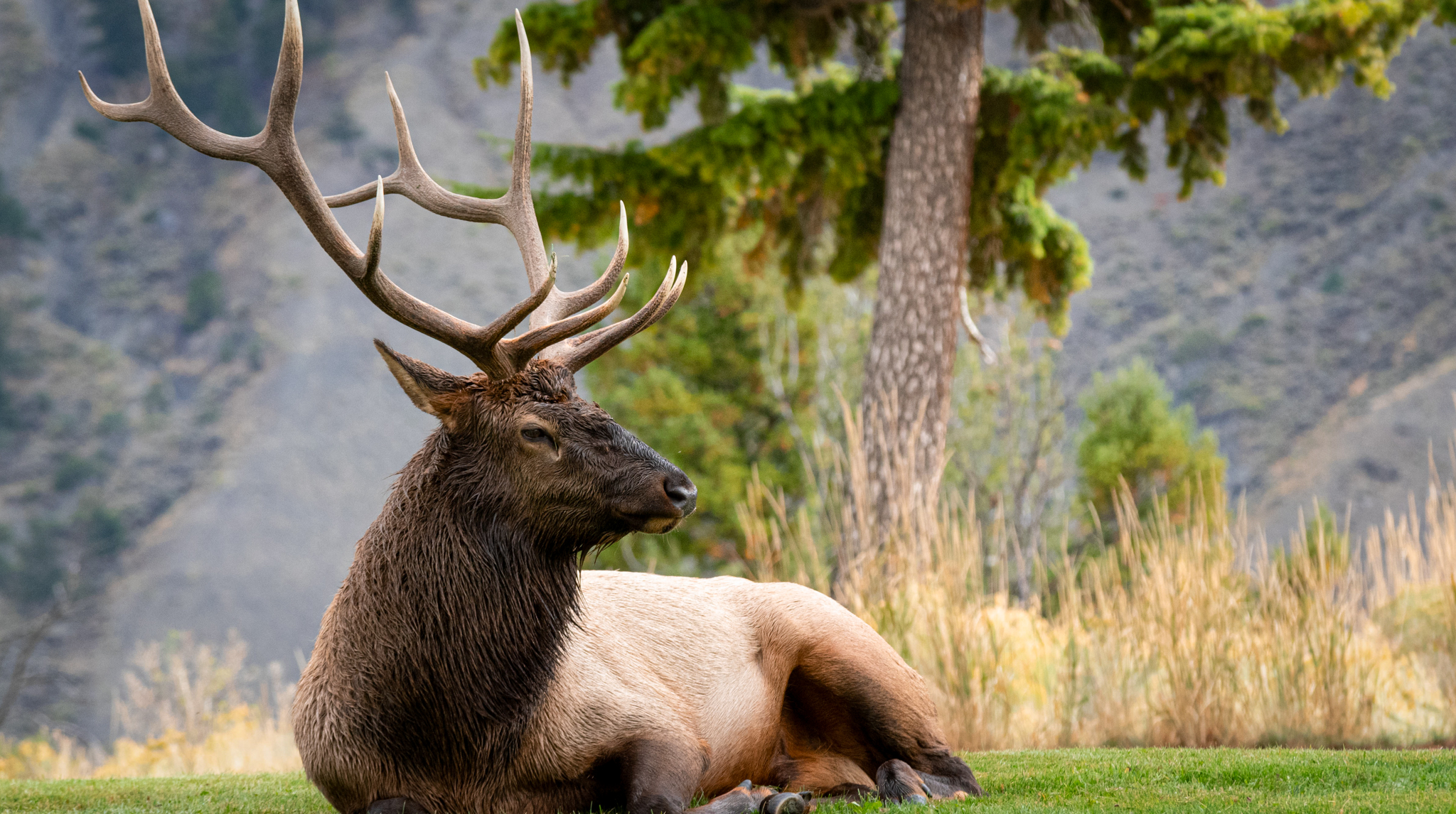 Gran Teton