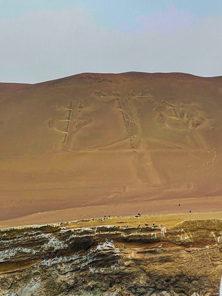 Islas Ballestas Paracas Perù
