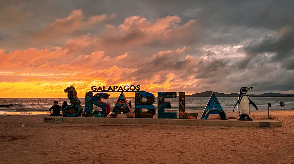 Isola di Isabela Galapagos: cosa vedere e fare