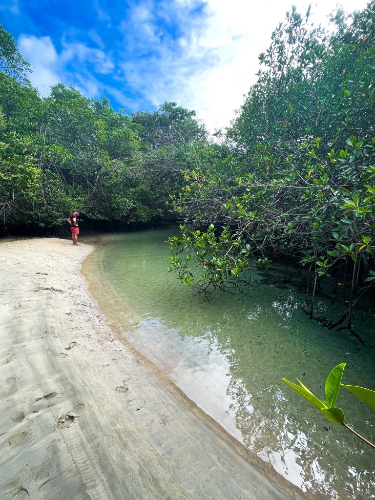 Isola Isabella