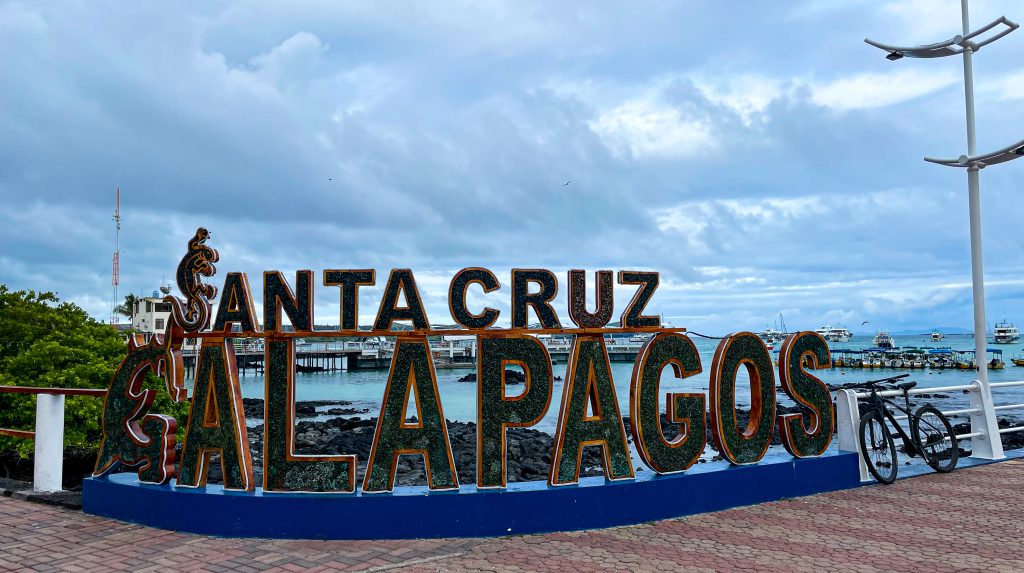 Isola di Santa Cruz Galapagos: cosa vedere e fare