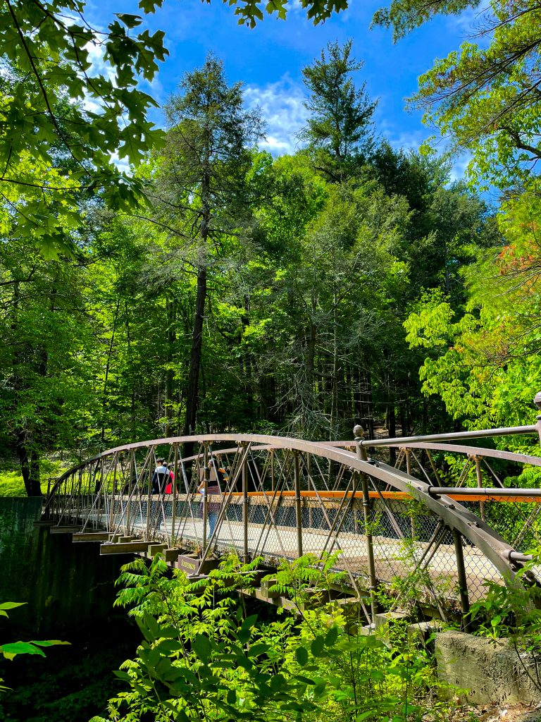 Watkins Glen State Park